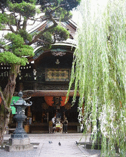 頂法寺の画像