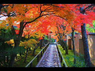 光悦寺の画像