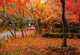 常照寺の画像