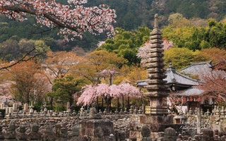 化野念仏寺の画像