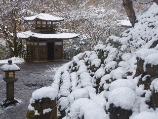 愛宕念仏寺の画像