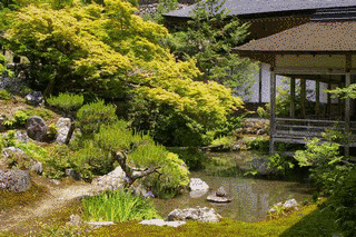 常照皇寺の画像