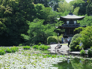 勧修寺の画像