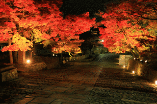 金戒光明寺の画像
