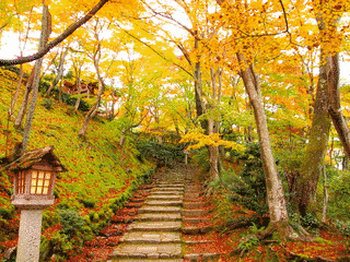 寂光寺の画像