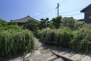 常林寺の画像