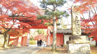 真正極楽寺の画像