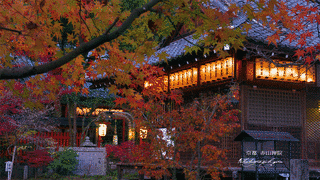 赤山禅院の画像