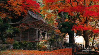 峰定寺の画像
