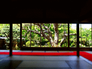 宝泉院の画像