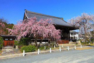 妙満寺の画像