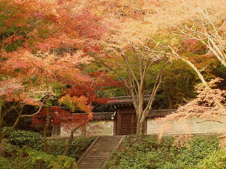 清閑寺の画像