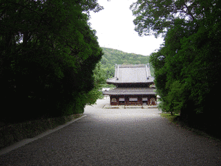 泉涌寺の画像