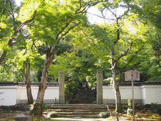 浄住寺の画像