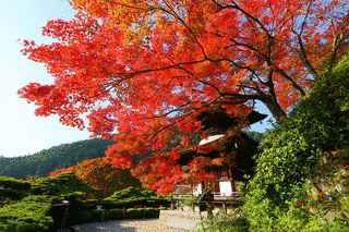 善峯寺の画像