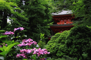 岩船寺の画像