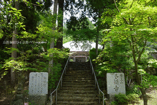 多禰寺の画像