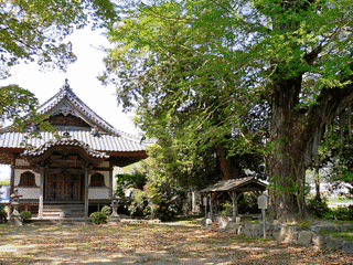 丹波国分寺の画像