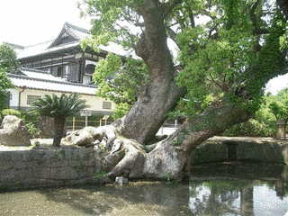 佐賀県の寺の画像