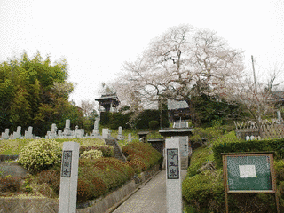 浄円寺の画像