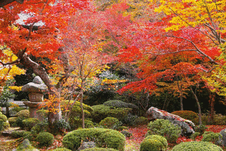 円光寺の画像