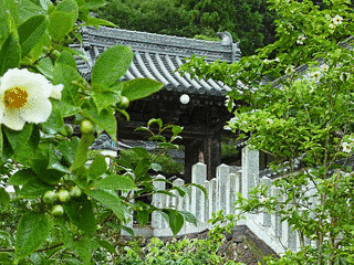 應聖寺の画像