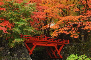 横蔵寺の画像