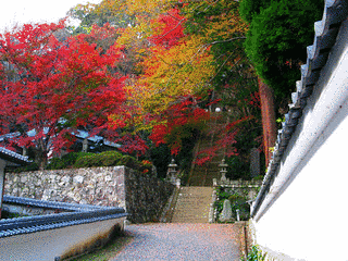 奥山寺の画像