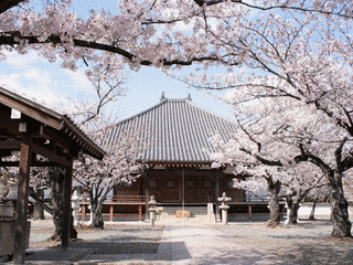 教信寺の画像