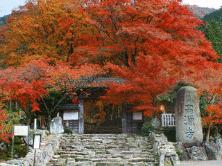 高源寺の画像
