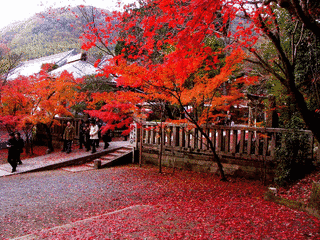 光明寺の画像