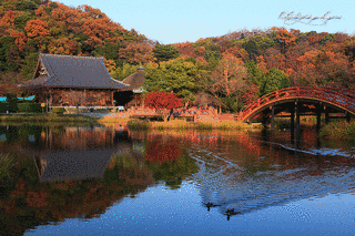 称名寺の画像