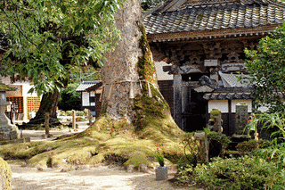 大乗寺の画像