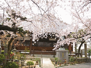墨染寺の画像