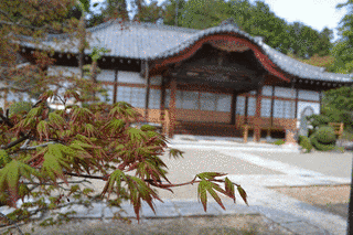 得成寺の画像