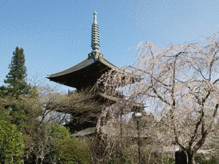 観音教寺の画像
