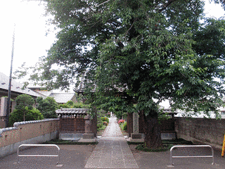 松林寺の画像