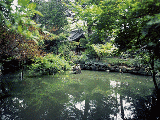 長禅寺の画像