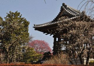 東栄寺の画像