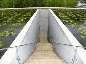 本福寺の画像