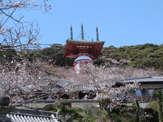 薬王寺の画像