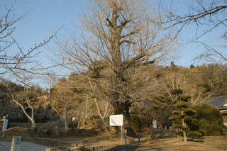蓮福寺の画像