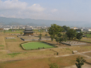 紀伊国分寺の画像