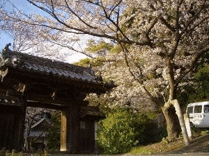施無畏寺の画像