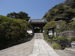 安養院の画像