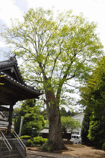 龍山院の画像