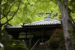 久安寺の画像