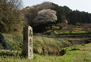 高貴寺の画像