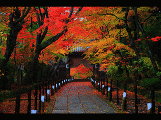 光妙寺の画像