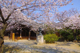 小山善光寺の画像